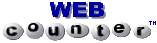 Web counter logo